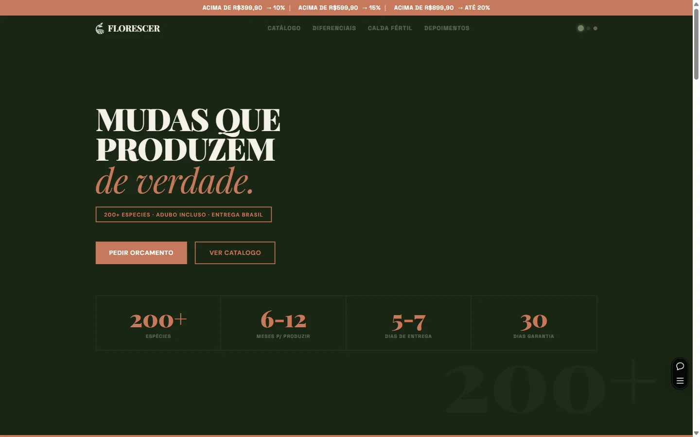 Florescer Mudas